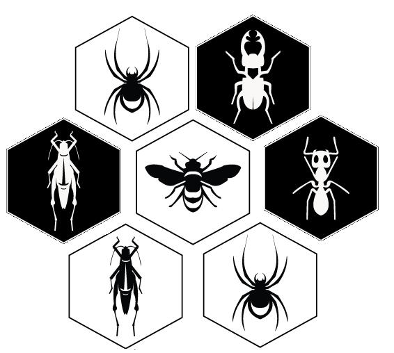 2 sedan kan fatta beslut på. Strategier kommer utvärderas i form av matcher mot varandra samt individuella data. 4 Hive Hive är ett spel för två personer [5]. Spelarna turas om att göra varsitt drag.