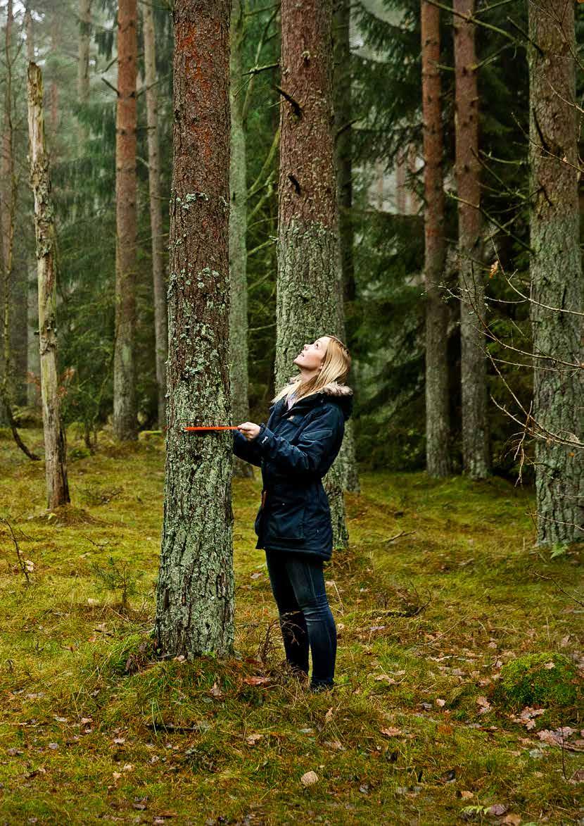 Vad är en utsläppsrätt? En utsläppsrätt representerar 1 ton koldioxid som har förhindrats från att nå ut i atmosfären.
