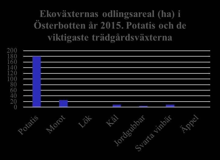 Ekologisk potatis odlas på 180 ha i