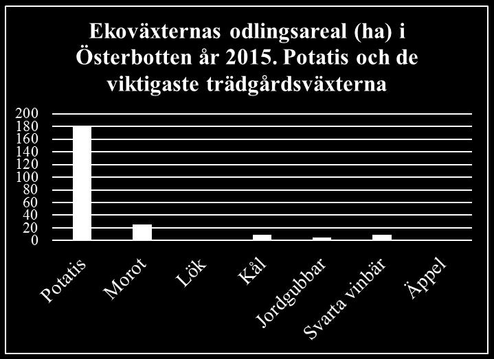 ekologiska morötter Största ekopotatis- och