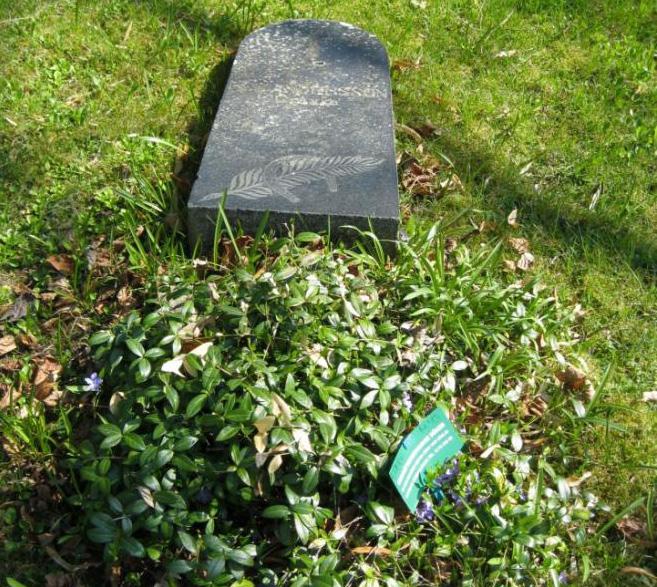 P Andersson Fa