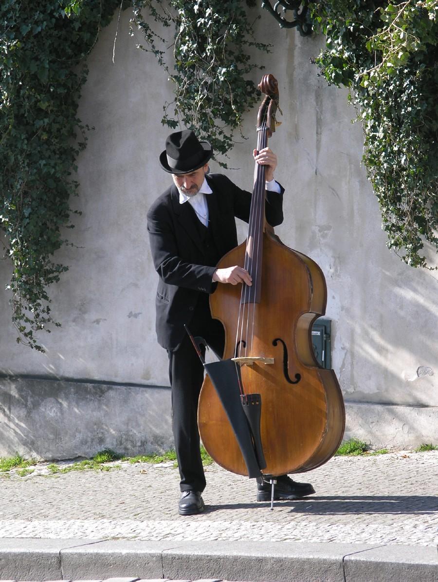 Cello Cello spelas genom att man drar en stråke över strängarna Har 4 strängar Tonhöjden förändras genom att man trycker ner strängarna med vänsterhanden på greppbrädan En cello är större än en