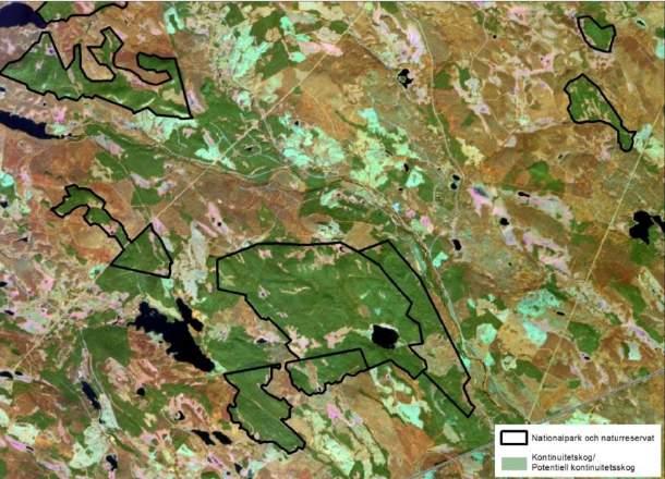 Av karterad k-skog är 5,5 miljoner ha produktiv och 2,3 miljoner ha är improduktiv skogsmark. Figur 9.