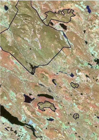 (k-skog) i grönt. Det största naturreservatet i bilden är Reivo domänreservat. Brandfältet i detta reservat faller ut som skog med bruten kontinuitet tillsammans med äldre avverkningar.