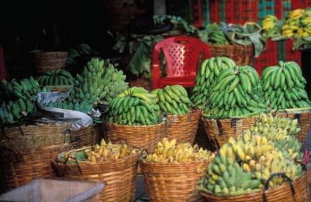 16 KRAVs årsredovisning 2007 Den globala ekologiska marknaden Om fem år förväntas den globala ekologiska livsmedelsmarknaden ha växt med 60 procent och vara värd cirka 450 miljarder kronor.