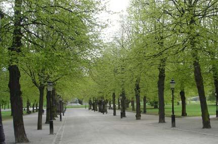 Parken är rikligt försedd med skulpturer: Fritjof Kjellbergs Linnéstaty (), Johan Börjessons bronsstaty av Carl Wilhelm Scheele (), skulpturen Farfadern av Per Hasselberg (), Anders Fryxellstatyn av