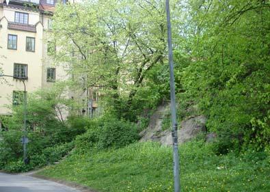 Åtgärder Investering Underhåll Drift Ta fram ett program och upprusta parken.