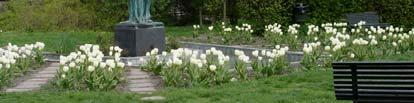 Den kvarvarande parken upprustades och en gräsyta och en större perennplantering i parkens västra del anlades. I början på 000-talet döptes parken om till Ellen Keys Park.