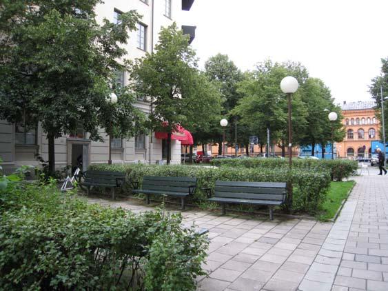 Längst ner på Nybrogatan närmast Nybroplan finns ett antal mindre planteringar, några med sommarblommor och några med avenbok.