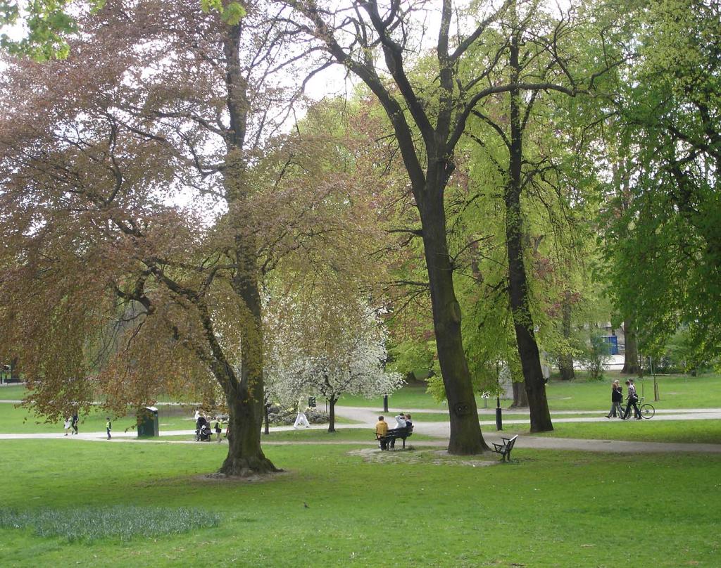 STADSPARKER AKTIVITETSPARKER Definition enligt parkprogrammet: Helt kulturformad park utan spår av naturlandskapets topografi och vegetation. Öppna gräsytor och träd är stommen.