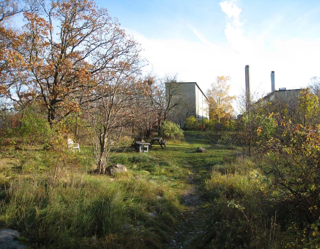 HJORTHAGEN Under rubriken Hjorthagen beskrivs