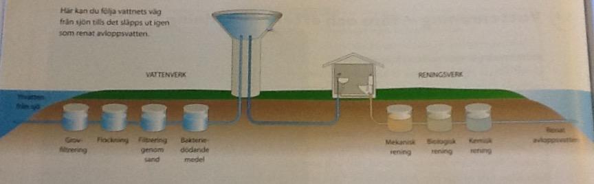 Rening av dricksvatten och avloppsvatten.