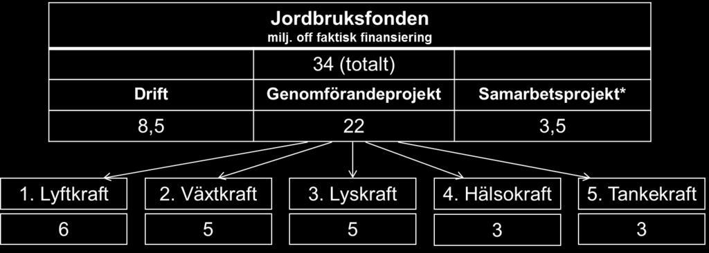 De tilldelade medlen skall finansiera