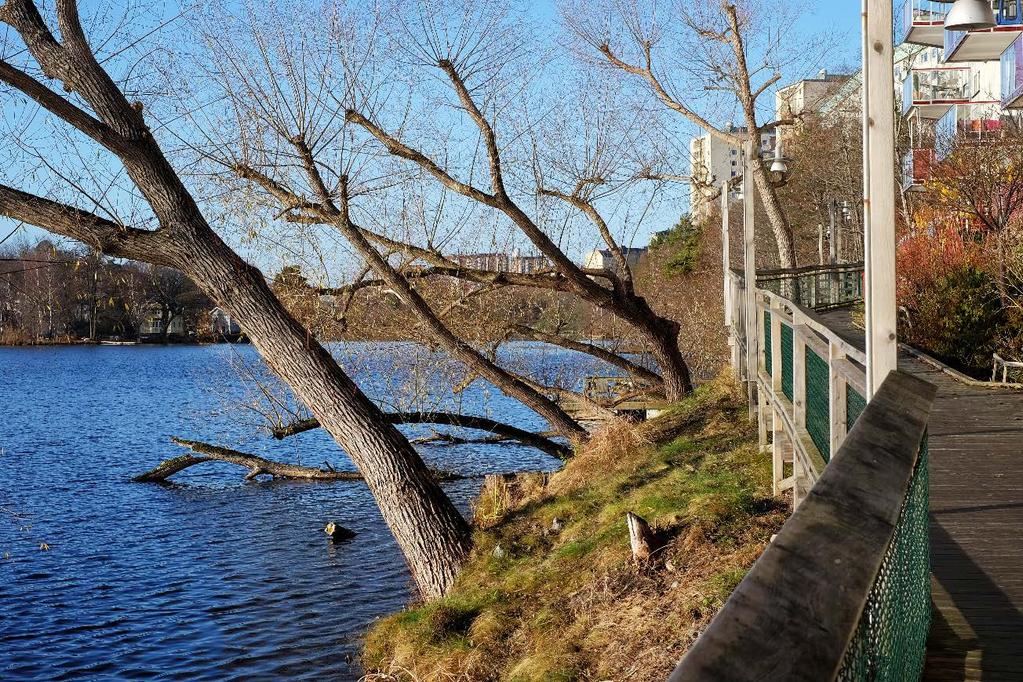 Figur 21 Strandpromenad vid Järla sjö Nacka Norra kyrkogård (29) Kyrkogården omfattar en yta på cirka 0,5 hektar och ligger strax norr om Värmdövägen.