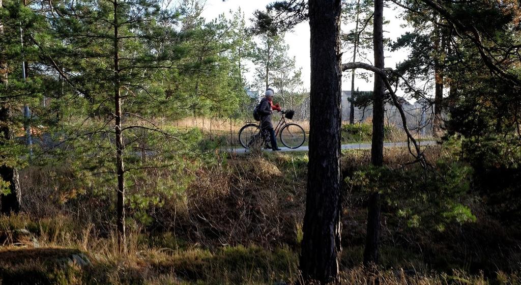 Figur 26 Naturmark sydväst om Nyckelvikens naturreservat Naturmark norr