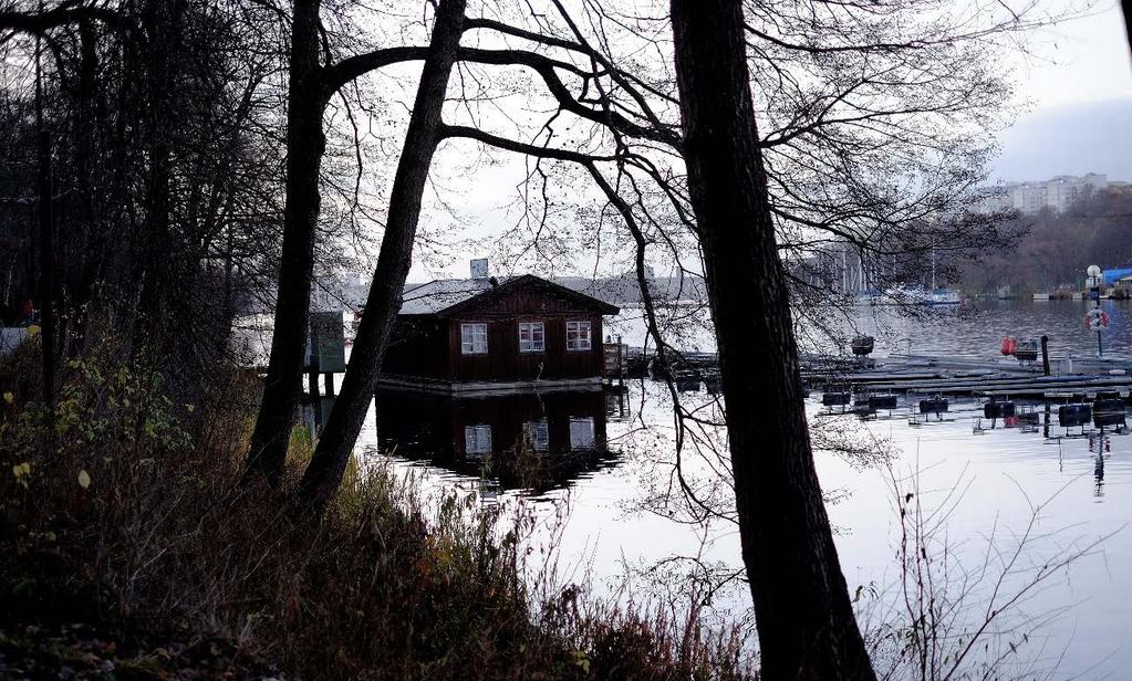 Stränderna i Årstaskogen präglas av den nordvända förkastningsbranten. Stränderna är branta och skogsklädda. Friluftsområdet har ett väl förgrenat system av promenadvägar och stigar.
