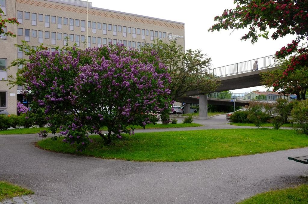 Slakthusplan (41) Slakthusplan utgörs av ett litet parktorg på cirka 0,1 hektar som fungerar som entréplats till Slakthusområdet och är av lokal betydelse.