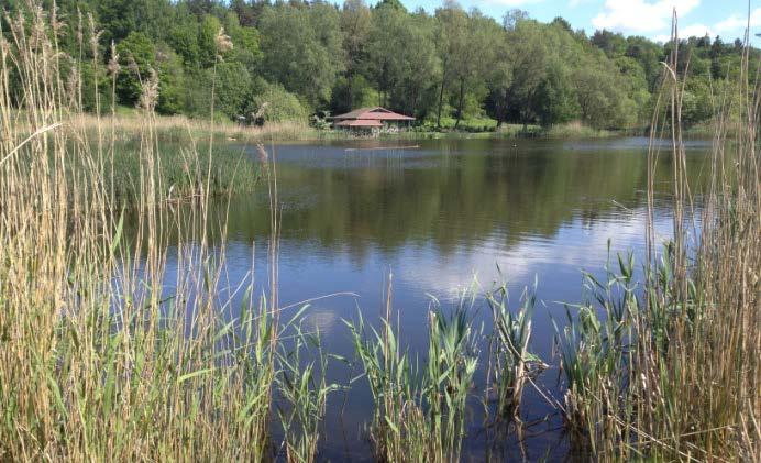 En del vatten har anlagts nära tätorter för eller inom områden för rekreation. Dessa vatten hyser i snitt 8,7 par/ha, dvs. dubbelt så många som genomsnittet.