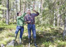 Artskydd Artskyddsförordningen kan innebära att blotta förekomsten av vissa fågelarter gör att man inte får avverka den aktuella skogen.