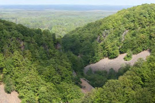 Söderåsens Nationalpark Torsdag 13 juli Följ med till Söderåsens nationalpark strax norr om Röstånga. Vi vandrar i de vackra omgivningarna och besöker naturum.