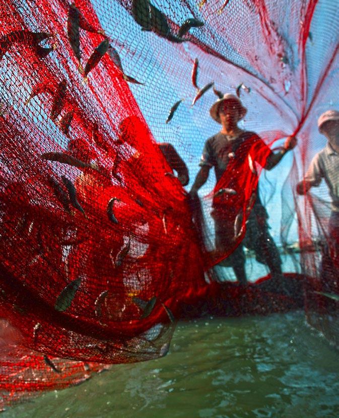 Foto: UNDP Vietnam / Tran Vinh Nghia Förord: De globala målen för hållbar utveckling är en utvecklingsagenda för alla Under 2016 påbörjas ett nytt kapitel för global utveckling.