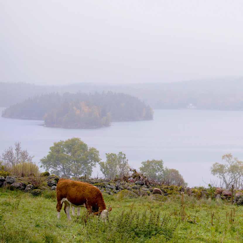 Intresserad? Så här gör du! För dig som bor i villa Bor du i villa och är intresserad av att ansluta den till fibernätet? Surfa in på www.fibertillalla.se, skriv in din adress och anmäl ditt intresse.