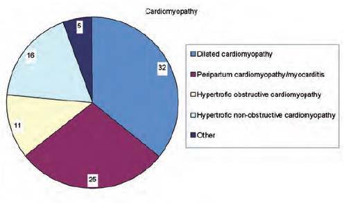 insufficiens Aorta stenos Kardiomyopatier