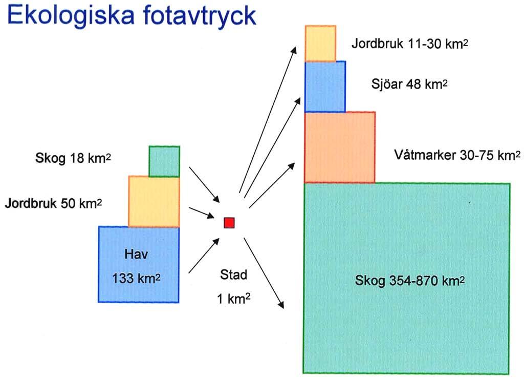 Ekosystemen levererar tjänster