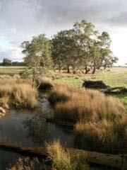 Goulburn-Broken agriculture Economically lucrative - thriving Dryland cropping, grazing, irrigated dairy and fruit production, connecting the region to global markets - one quarter of the State of