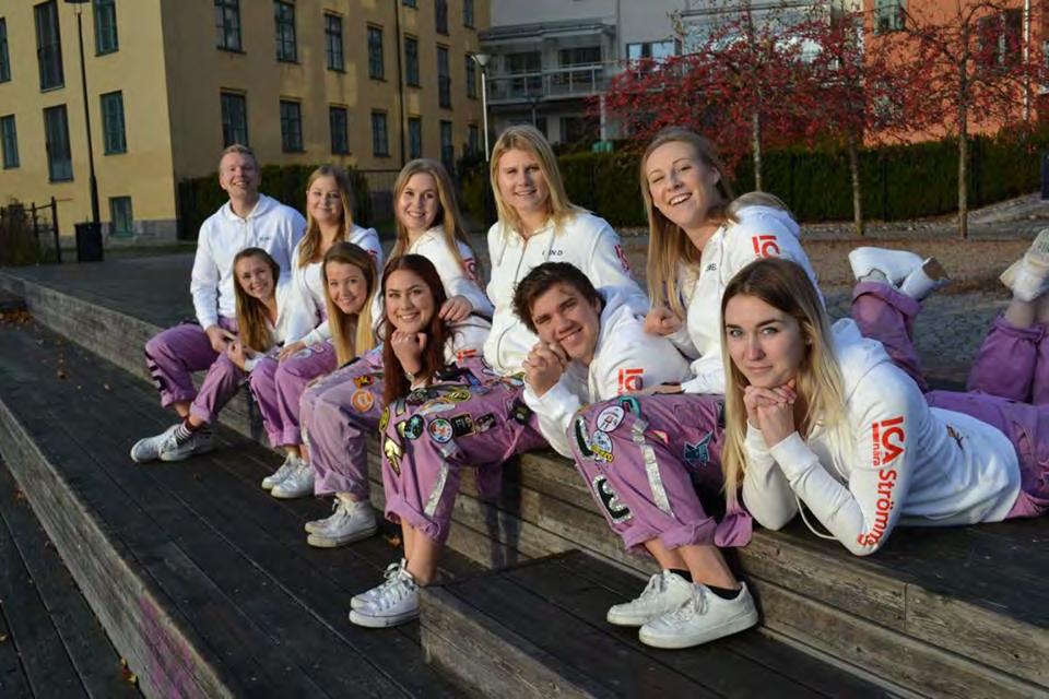ORGANISATIONEN 16/17 Det är alltså vi här ovan som är era faddrar och anordnar nolle-p! Vi alla läser sjuksköterskeprogrammet i Norrköping, men i olika terminer.