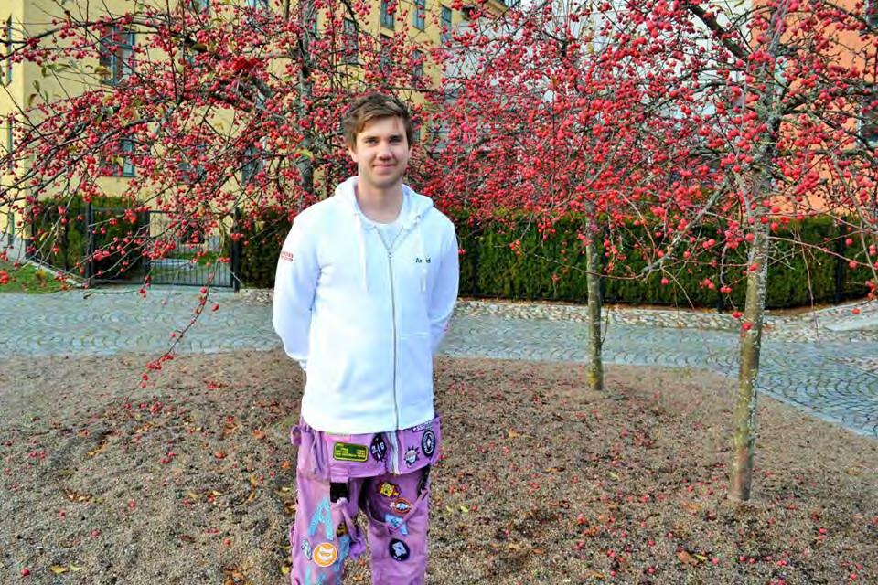 Namn: Maja Post: Vice Gyckel