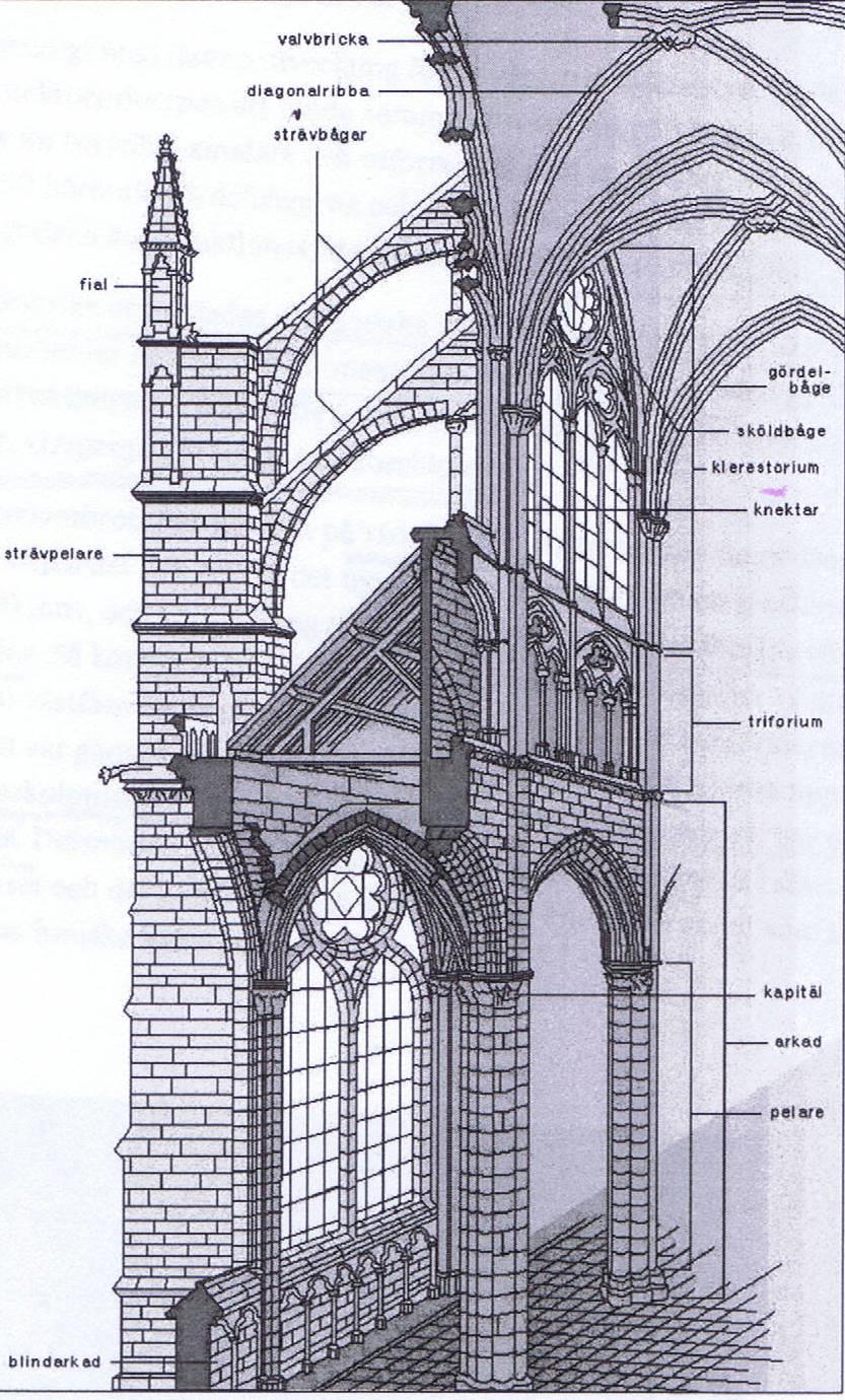 Gotisk katedralarkitektur Högt och ljust Ribbvalv Högt mittskepp