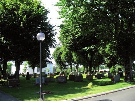 Kvarteren C, D och K har en parkliknande stil med ett flertal planterade lindar. Utanför kyrkogården mot Lillån växer det tätt med träd och buskar, området är tämligen snårigt.