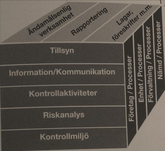 Kontrollkomponenter Organisation och processer ~5.