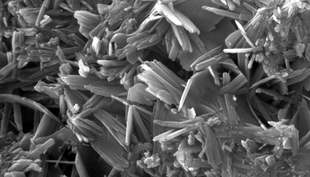 Devices and Materials in Biomedicine Devices: biosensorer, kemiska sensorer, mikrosystem Materials: mjuka, hårda och hybrida
