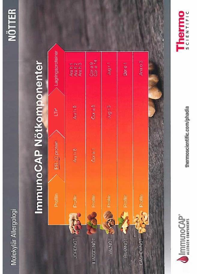 Misstänkt reaktion mot hasselnöt (Corylus avellana) Cor a 1- PR-10 protein (Bet v 1 homolog) Ofta associerat med lokala symtom (OAS) Markör för björkpollenrelaterade korsreaktioner Värme- och