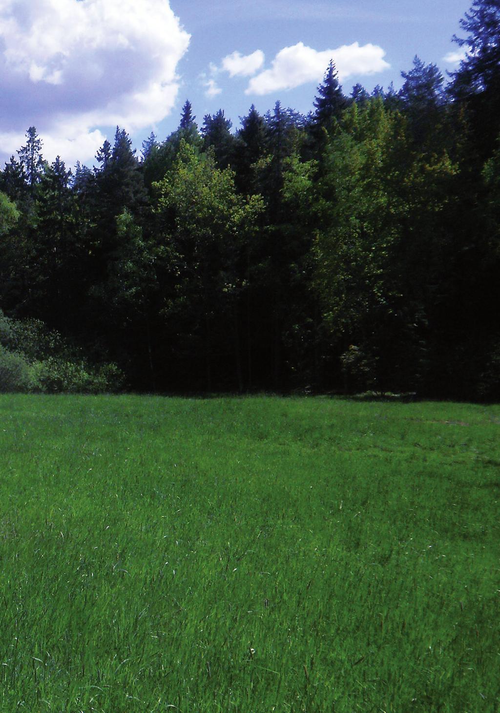 SOMMARLÄGER 27/6-3/7 2015 KÖPING Instruktörer Hans Greger Bertil Bergdahl Tony Hansson Stefan