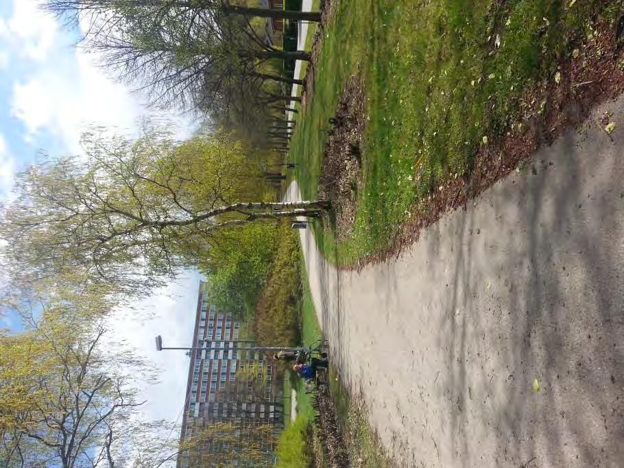 z Vy över gång- och cykelbanan längs Varvsvägen.