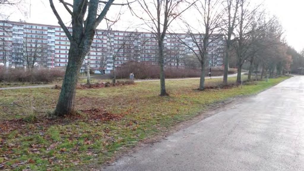 Figur 5 Områdesbild över tomt för planerad bebyggelse Figur 6 Befintlig bebyggelse mellan Botkyrkaleden och ny bebyggelse Det är planerat att bygga bostäder i 6 våningar.