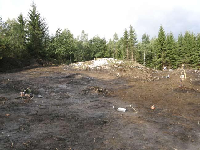 Metod och genomförande Det övre vegetationsskiktet tillsammans med ett tunt humuslager togs bort med maskin på ett område av cirka 1550 kvadratmeter (fig. 4).