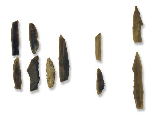 Fig. 12. Till vänster syns lancettmikroliter, till höger hullingspetsar och i mitten en trekantsmikrolit och en segmentmikrolit. Skala 1:1. Foto: Eva Crafoord.