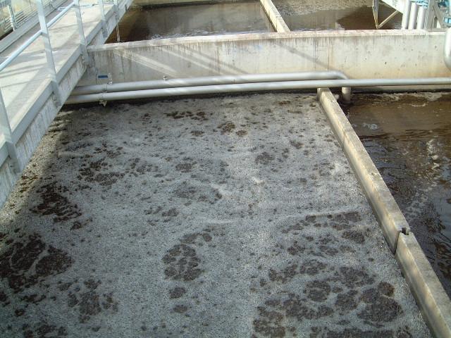 Activated sludge processes Aeration basin and settling tank. The concept: 1. Microorganisms (biomass) grow in the aeration tank and degrade organic matter while consuming oxygen. 2.