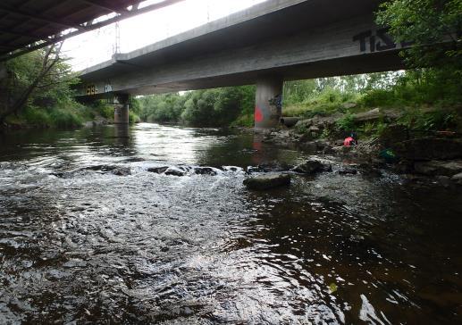 Säveån, Nedstr järnvägsbro Koordinat: Allmän information Elprovfiske 1 (2) 647227/1277983 Datum: 21584 Lokalen som var belägen längs södra kanten av Säveån utgjordes av en realtivt grund