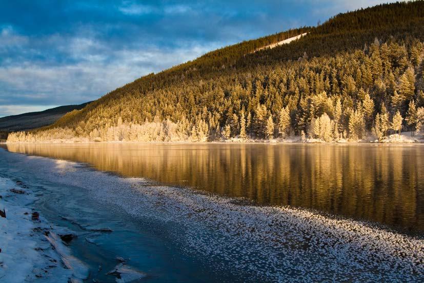 Figur 58. Vy över Österdalälven vid Älvdalen. Foto: www.fotoakuten.