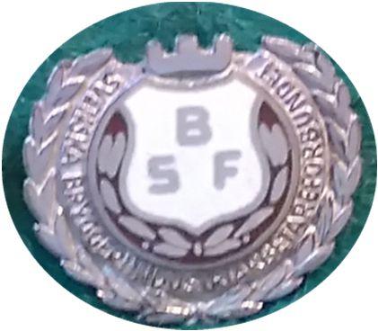 4 SBF Svenska Bryggeriindustriarbetareförbundet, förtjänstmärke 18 karats
