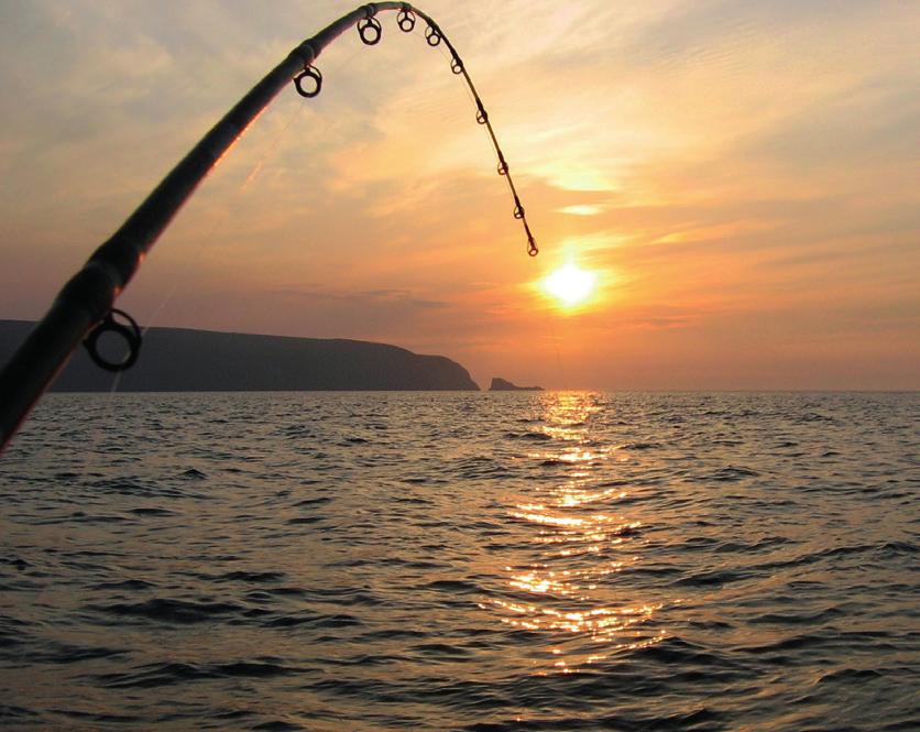 moms (min 8 debiterade gäster) SFISKETUR Med välutrustade sportﬁskebåtar och skickliga skeppare tar det inte långt tid innan det börjar rycka i era