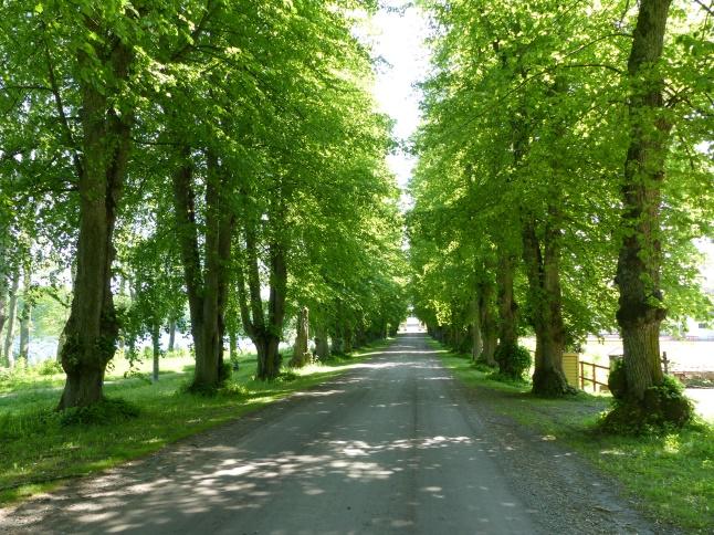 järnålder. Ovanligt många ensamliggande eller i små grupper liggande rösen och stensättningar samt två gravhägnader, en vallanläggning, en fornborg och ett gravfält, alla belägna i skogsmarken.