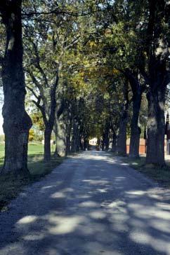Under perioden 1850-1950 dominerade stålkonstruktioner i anslutning till de allmänna vägarna. Omkring sekelskiftet 1900 introducerades broar i cementbetong.