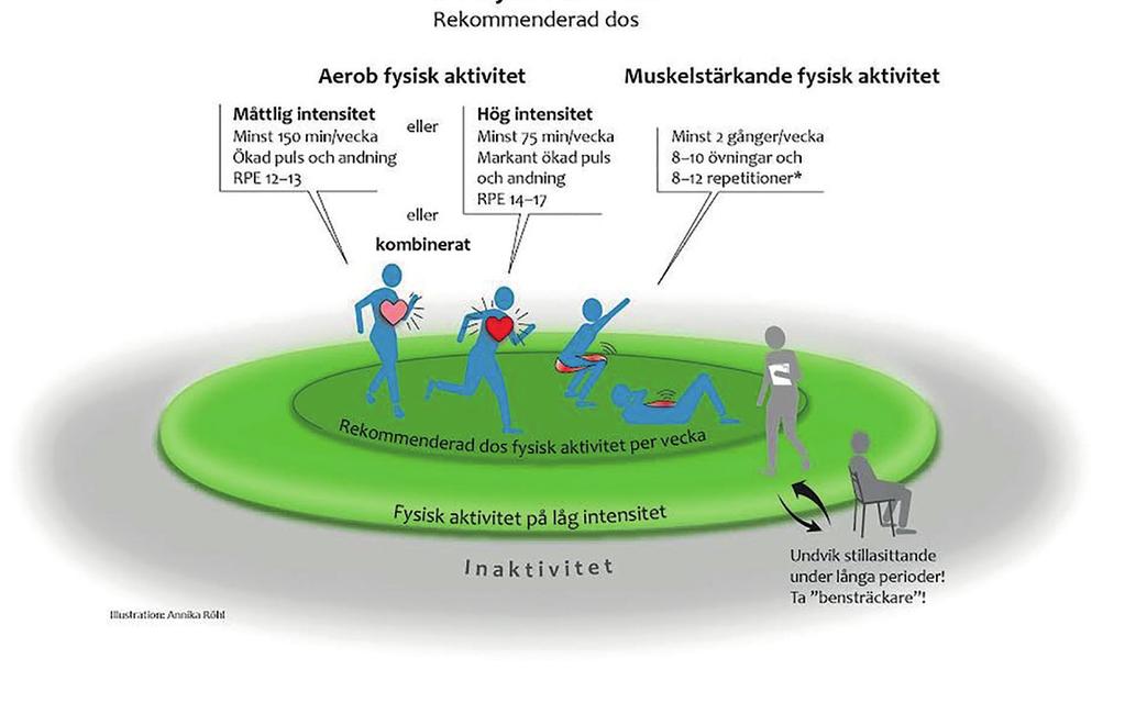 Rekommendationer kring fysisk aktivitet Illustration: Annika Röhl. Bilden är publicerad i boken FYSS 2017 och används med tillstånd av YFA.