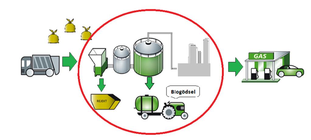 3.1 AVGRÄNSNINGAR Projektet omfattar följande steg i produktionskedjan för biogas: mottagandet av matavfall och substrat, förbehandlingen, hygienisering och rötning, gasrening, uppgradering och